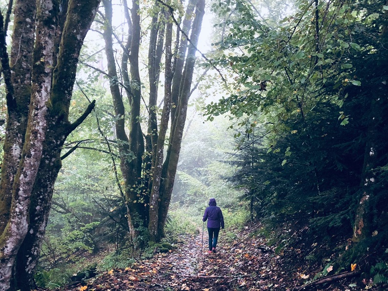 ondernemerscoach Noeky Karreman wandelend in bos